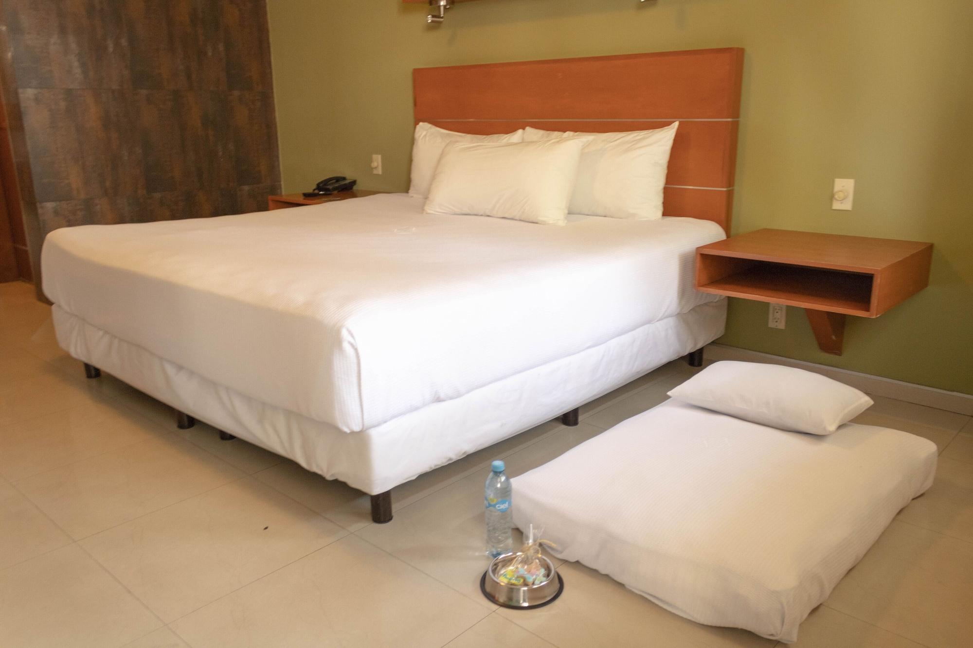 Hotel Calafia Mexicali Exteriör bild